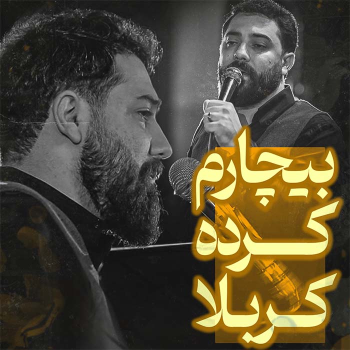 بیچارم کرده کربلا