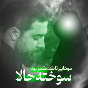 عکس صوت وجود ندارد