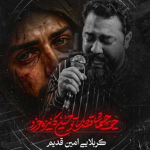 عکس صوت وجود ندارد