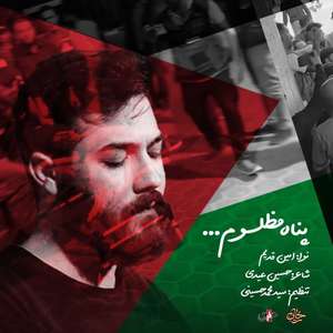 عکس صوت وجود ندارد