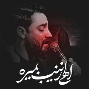 عکس صوت وجود ندارد
